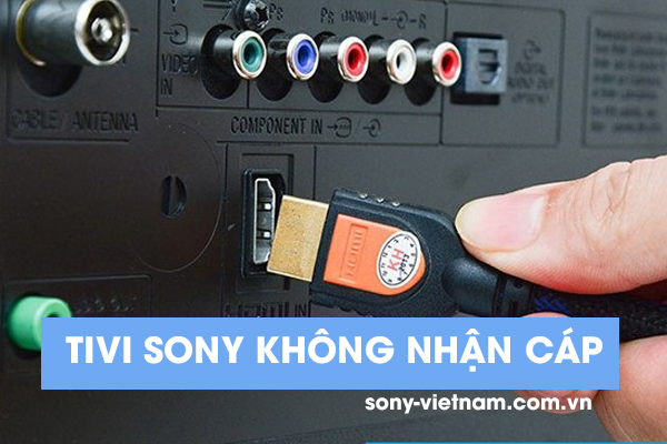 tivi sony khong nhan cap